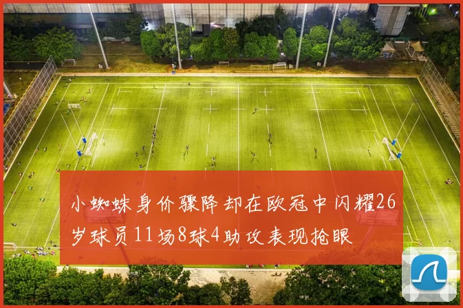 小蜘蛛身价骤降却在欧冠中闪耀26岁球员11场8球4助攻表现抢眼