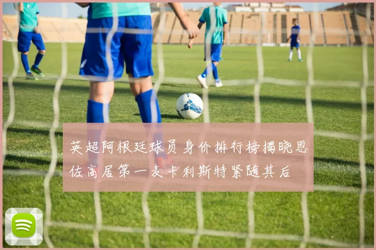 英超阿根廷球员身价排行榜揭晓恩佐高居第一麦卡利斯特紧随其后