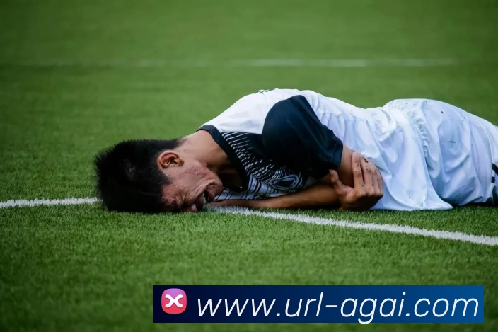AG娱乐APP 高清赛事图